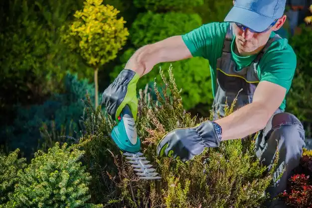 landscaping services Boonville
